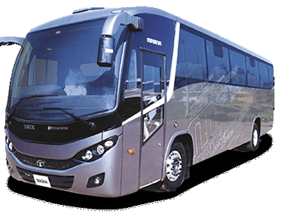InterCity Buses